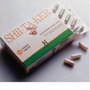 SHIITAKER HOLISTICA 100CPS