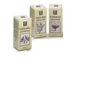 NEPETA CATARIA E.A. 50ML (799) E