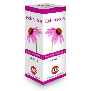 ECHINACEA SOL IAL PIANTA FR100