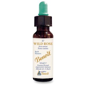 BENOIT FIORI DI BACH WILD ROSE