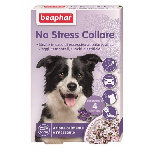 NO STRESS COLLARE CANE