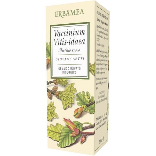 VACCINIUM VITIS IDAEA BIO 50ML