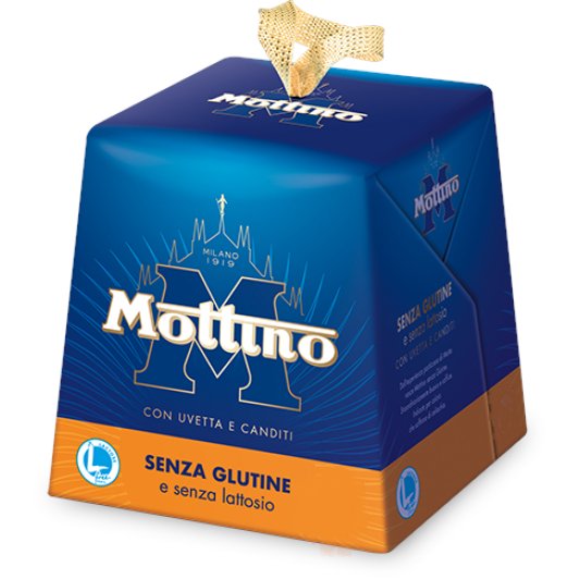 MOTTA Panettoncino S/G 100g