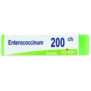 BO.ENTEROCOCCINUM Dose 200CH