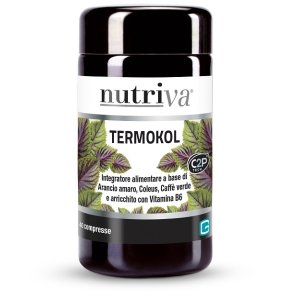 NUTRIVA TERMOKOL 40CP