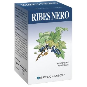 RIBES NERO 60 Cps      SPECCH.