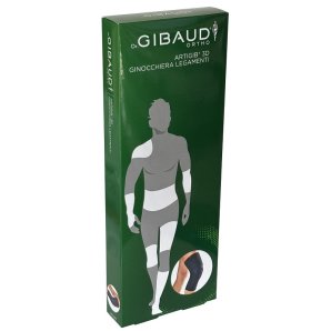 GIBAUD-ORT.Artigib3D*Ginocc.2