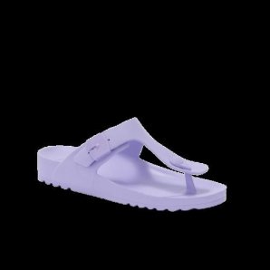 BAHIA SYNEVA W P LILAC 38