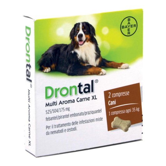 DRONTAL-MULTI AR CARNE XL*2CPR