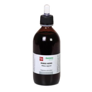 RIBES NE 200ML MG FTM