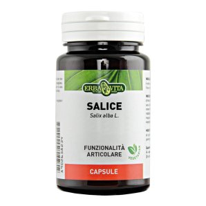 SALICE 60CPS 400MG FL EBV<