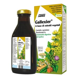 GALLEXIER Tonico Carciofo250ml