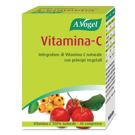 FdL Vitamina C 40 Past.41,5g