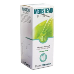 MERISTEMO YNKHAS 11 100ml