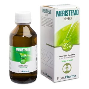 MERISTEMO YNKHAS 22 100ml