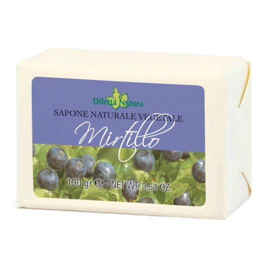DILETTA N SAP MIRTILLO 100G DILETTA N SAP MIRTILLO 100G