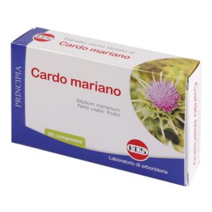 CARDO MARIANO E.S.60 Cpr KOS