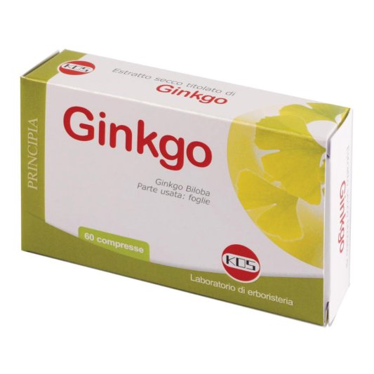 GINKGO BILOBA ESTR SEC 60CPR