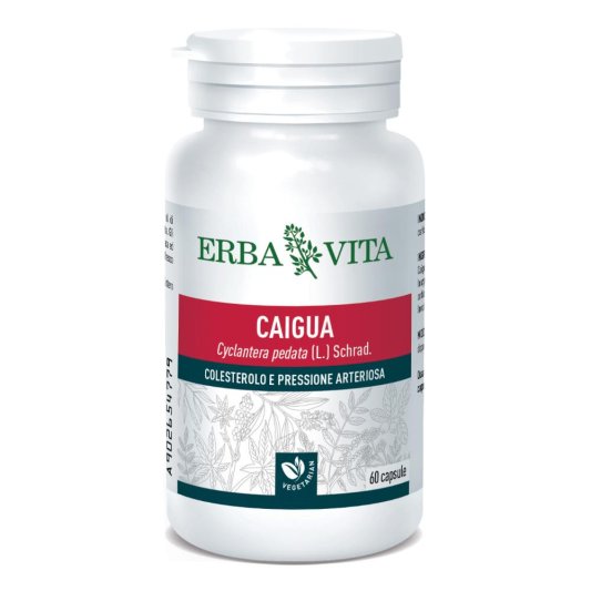 CAIGUA 60 Cps 400mg        EBV