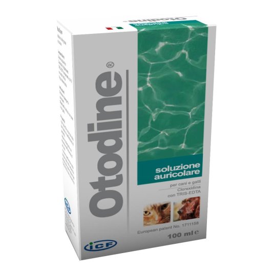 OTODINE Det.Liq.100ml