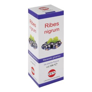 RIBES NIGRUM MG 100ml KOS