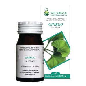 GINKGO BILOBA 60 Cps ACN