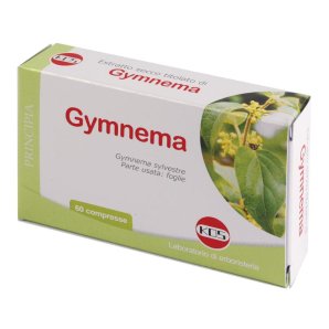 GYMNEMA ESTR SEC 60CPR KOS