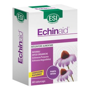 ECHINAID Alta Potenza 60 Cps