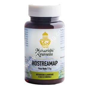 HOSTEREAMAP (MA 649) 60 Cps