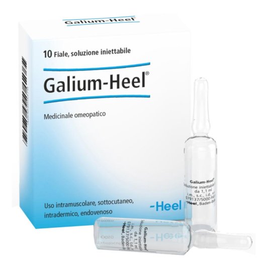 GALIUM 10F 1,1ML HEEL