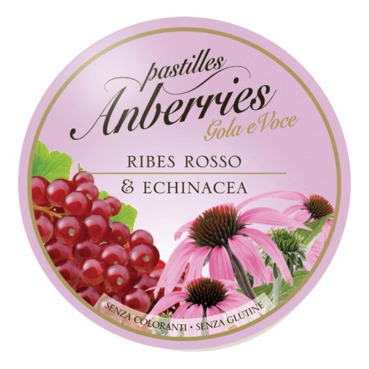 ANBERRIES Past.Ribes-Echinacea