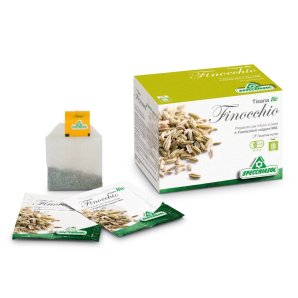 INFUSO Finocchio 20 Bust.SPECC