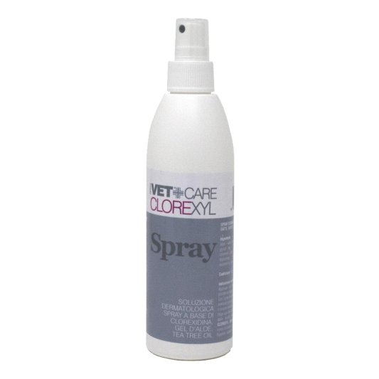 CLOREXYL Soluz.Spray 150ml