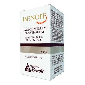 BENOIT AF3 LACTOBACILLUS PLANTHA