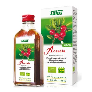 SUCCO ACEROLA 200ML