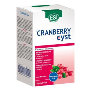 CRANBERRY CYST Pock.16Bust.ESI
