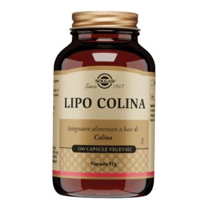 LIPO COLINA 100 Cps 100mgSOLGA