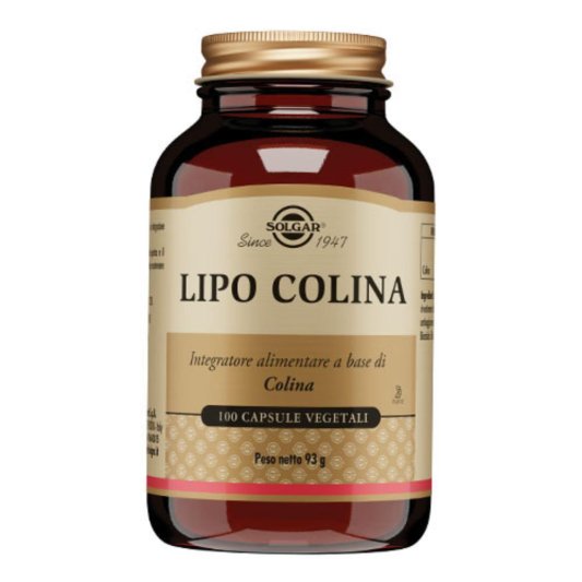 LIPO COLINA 100 Cps 100mgSOLGA