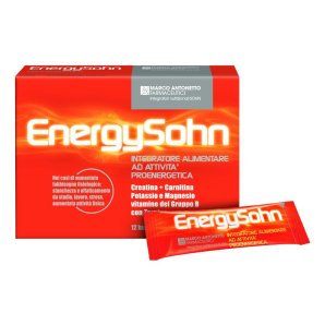 ENERGYSOHN 12 BS