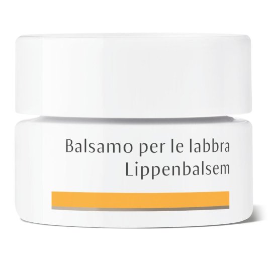 DR HAUSCHKA Bals.Labbra 4,5g