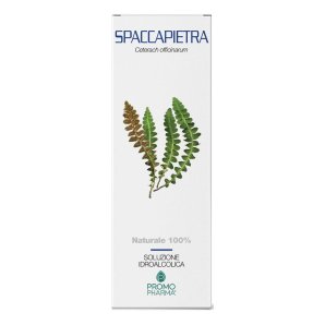 SPACCAPIETRA SOMMITA TT 100G<