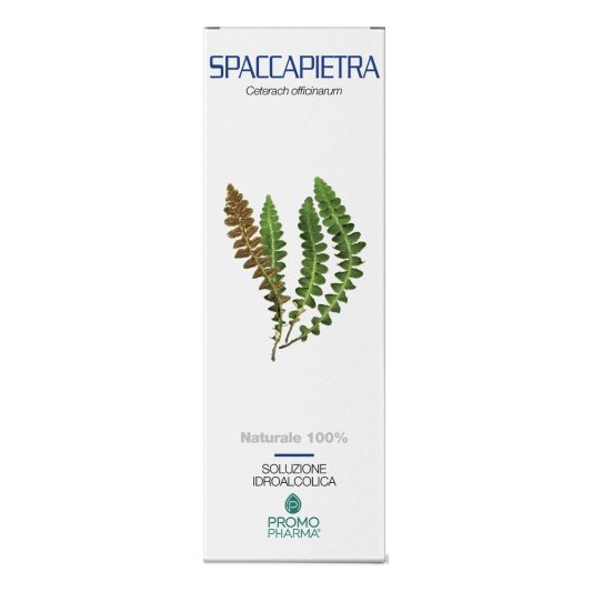 SPACCAPIETRA SOMMITA TT 100G<