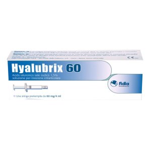 HYALUBRIX-1SIR AC IALUR 4ML60MG<