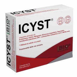 ICYST 14 Buste