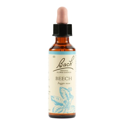 BACH  3 Beech Gtt 20ml LKR