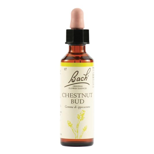 BACH  7 Chestnut Bud 20ml LKR