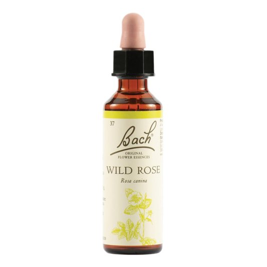 BACH 37 Wild Rose 20ml