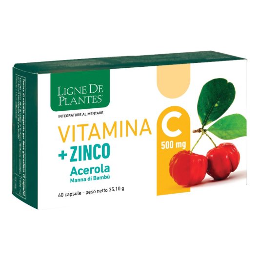 VITAMINA C 500MG+ZI/AC/BA60CPS