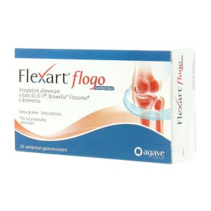 FLEXART Flogo 20 Cpr