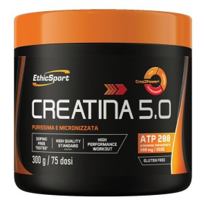 CREATINA 5.0 300G